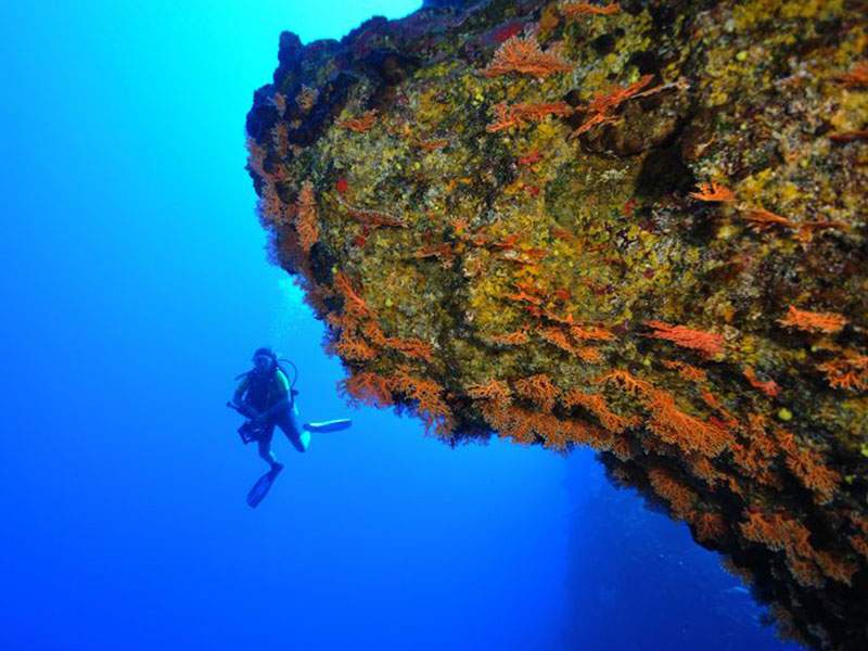 Diver along the drop-off, in the blue
