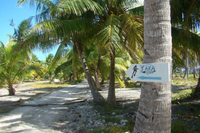 The path under the coconut palms to the Y AKA Plongée base