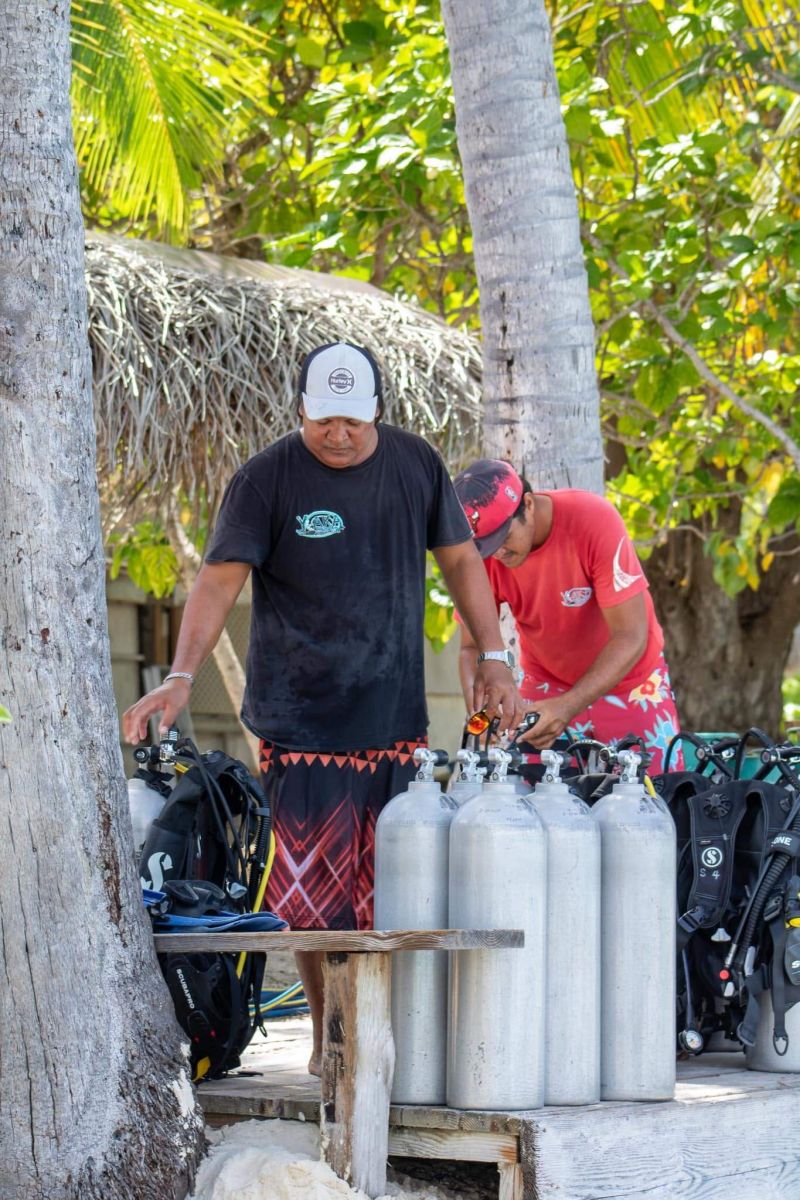 Tanks under the coconut trees